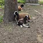 La.ti.mi.da. Agroturismo *