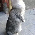 La.ti.mi.da. Фермерский дом Кассине