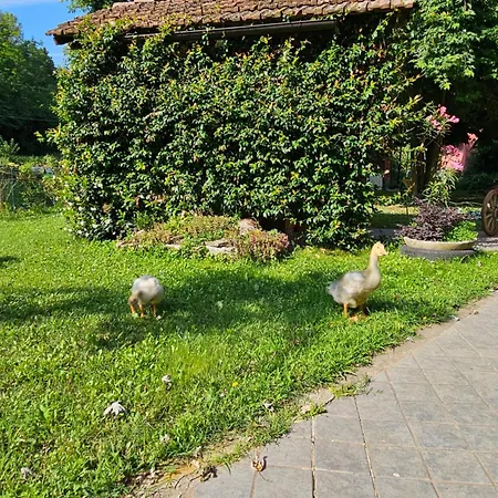 Alojamento de Turismo Rural La.ti.mi.da.
