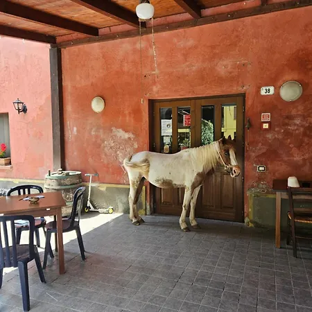 La.ti.mi.da. Alojamento de Turismo Rural *