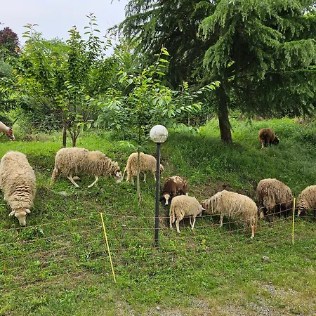 Bauernhof La.ti.mi.da.