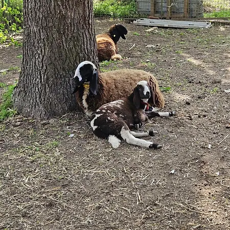 La.ti.mi.da. Feriegård *