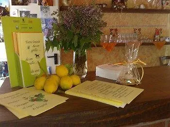 La.ti.mi.da. Feriegård