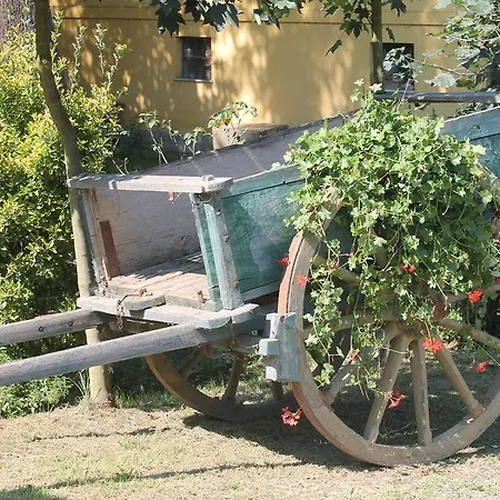 La.ti.mi.da. * Cassine