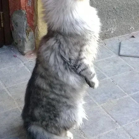 La.ti.mi.da. בית חווה Cassine