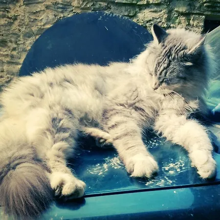 La.ti.mi.da. בית חווה *