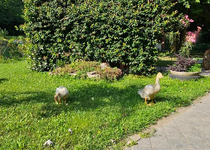 Vakantieboerderij La.ti.mi.da.