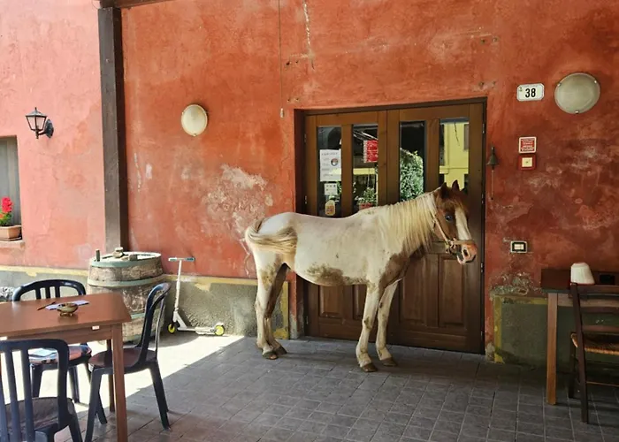 La.ti.mi.da. Фермерский дом *