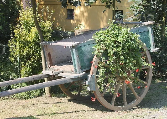 La.ti.mi.da. * Кассине