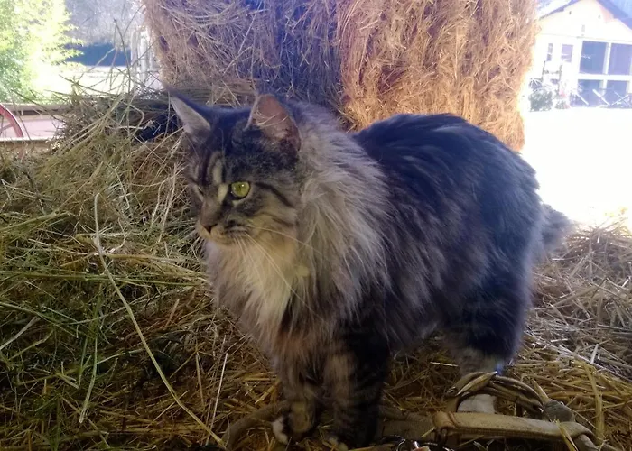 La.ti.mi.da. Vakantieboerderij