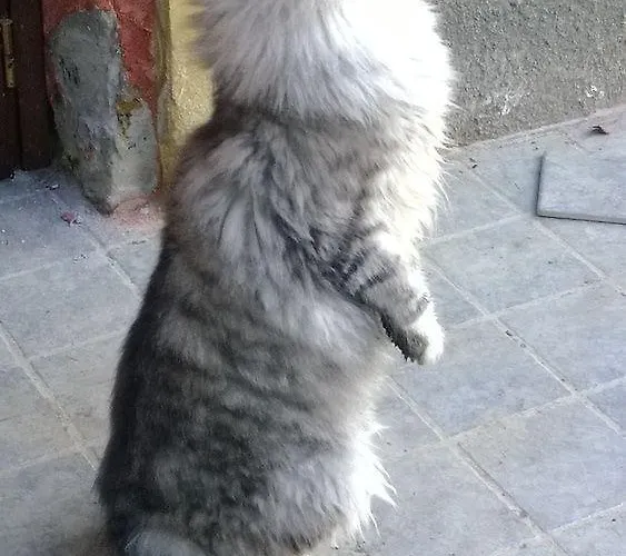 La.ti.mi.da. Vakantieboerderij Cassine