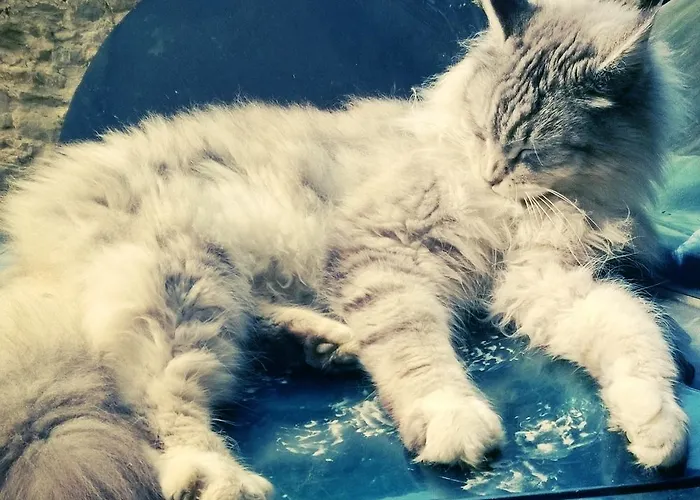 La.ti.mi.da. Фермерский дом *